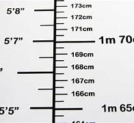 Image result for Metre Height