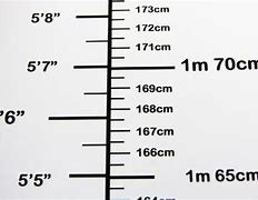 Image result for How Tall Is 38 Meters