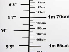 Image result for 3 Metres Tall