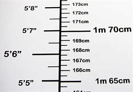 Image result for Thing That Are 3 Metres