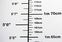 Image result for How Big Is 9 Meters