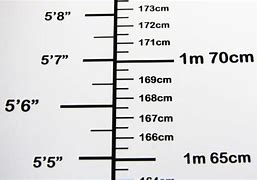 Image result for How Tall Is 8 Meters