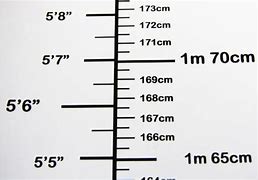 Image result for Tinggi 1 Meter