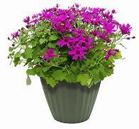 Image result for Pedestal Pot Plant Stand PNG