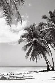 Image result for Black and White Beach Aesthetic