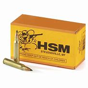 Image result for Remanufactured 223 Ammo