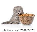 Image result for iams cat food