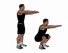 Image result for Body Squats Exercise