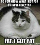 Image result for Funny Chinese New Year Memes