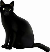 Image result for Black Cat Soft Cell Phone Case