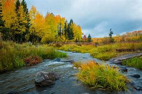 Image result for Mountain Stream