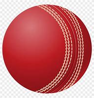 Image result for Cricket Vector Design