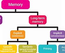 Image result for Short-Term Memory Brain