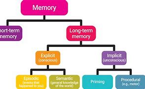 Image result for Types of Memory Flow Chart