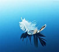 Image result for Feather Wallpaper