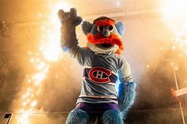 Image result for Montreal Canadiens Mascot