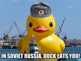 Image result for Russian Bird Meme