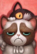 Image result for Grumpy Cat Pokey