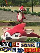 Image result for Sonic and Knuckles Memes