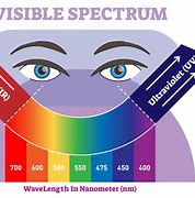 Image result for Visible and Non Visible Light Spectrum