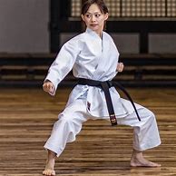 Image result for Tokaido Karate Gi