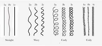 Image result for 1A Hair Type