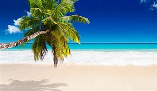 Image result for iPad Beach Backgrounds