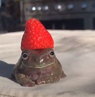 Image result for Strawberry Frog Meme