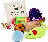 Image result for Kitten Toy Set