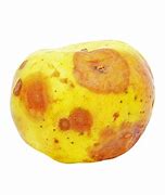 Image result for Rotten Apple Meme