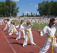 Image result for Karate Sport