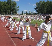 Image result for Karate Kids 10