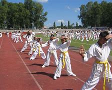 Image result for Karate