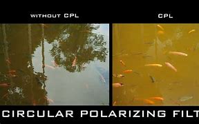 Image result for Promaster Circular Polarizer Filter