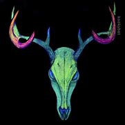 Image result for Deer Skull Face Paint