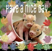 Image result for Have a Great Day Animal Meme