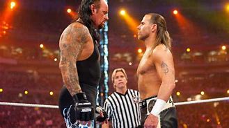 Image result for WWE Wrestlemania Matches