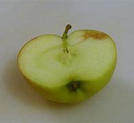 Image result for Half a Apple Cutouts