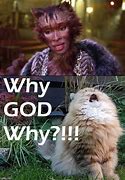 Image result for Cats Movie Meme