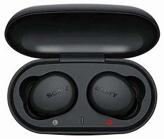 Image result for Iwalk True Wireless Stereo Earbuds