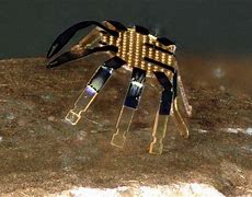 Image result for Robot Crab