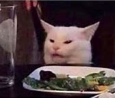 Image result for White Cat Dinner Meme