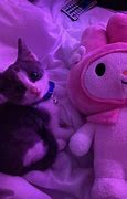 Image result for Jiji Cat PFP