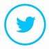 Image result for Twitter Logo Silhouette SVG