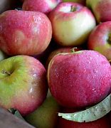 Image result for Half Peck of Apple's