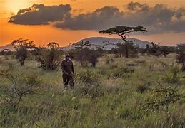 Image result for Kenya cattle rustlers