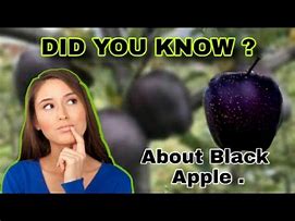 Image result for What Is a Black Diamond Apple