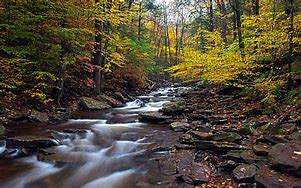 Image result for Pennsylvania Fall Scenery