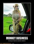 Image result for Funny Monkey Memes Work