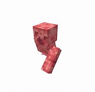 Image result for Mcpe Invisible Skin